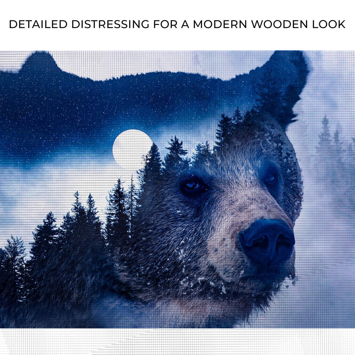 Animals Forest Bear Illustration Canvas Wall Art II by Tailored Canvases