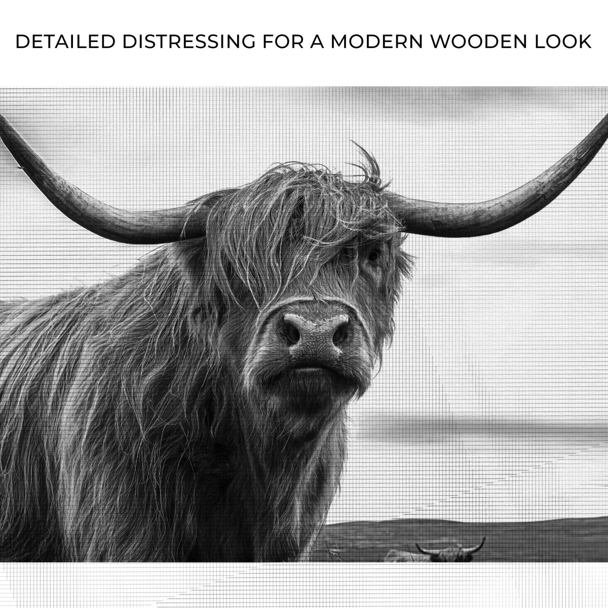 Highland Cow Black And White Portrait Canvas Wall Art by Tailored Canvases
