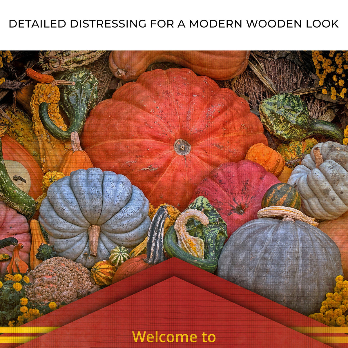 Pumpkin Patch Sign V by Tailored Canvases