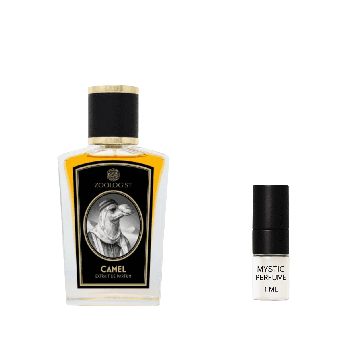 Zoologist Camel (Old Packaging) by Mystic Store