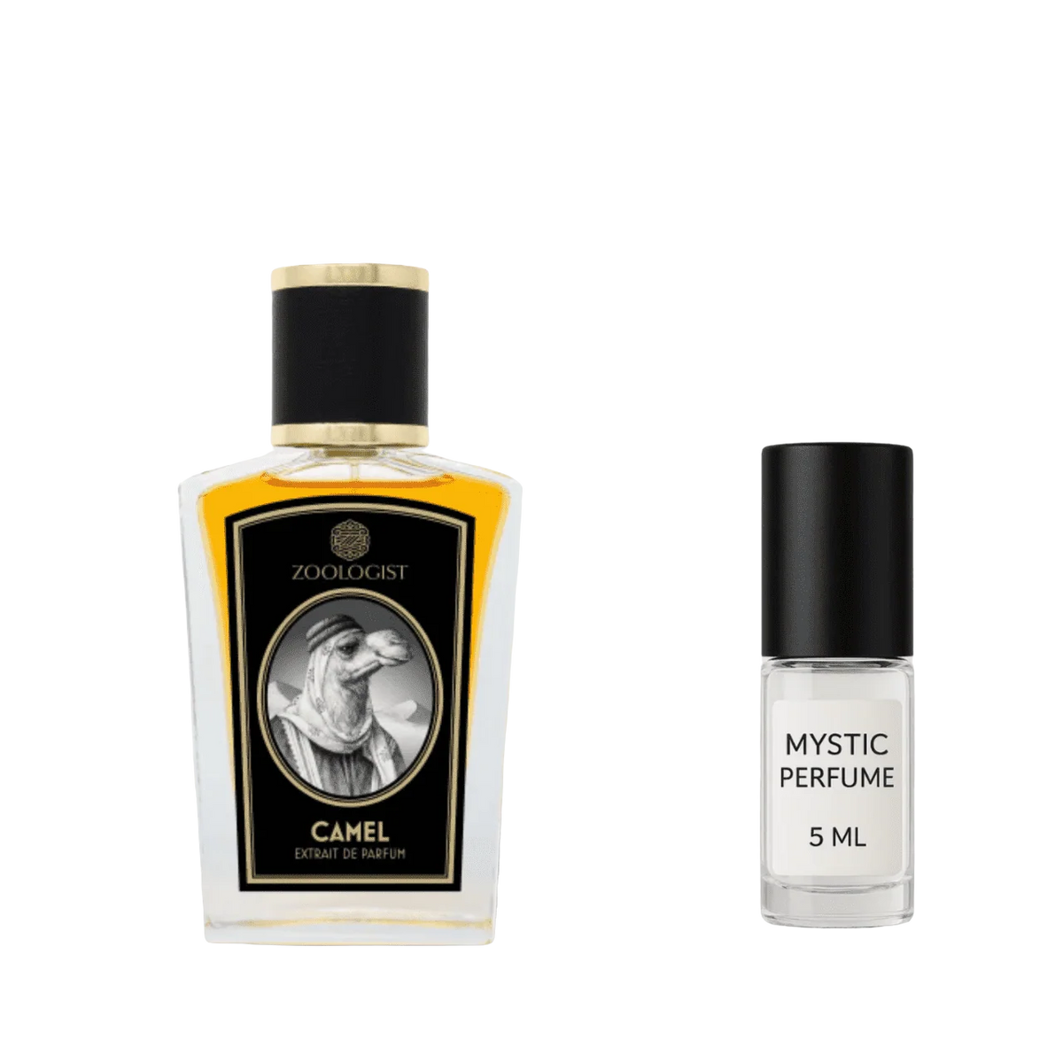 Zoologist Camel (Old Packaging) by Mystic Store