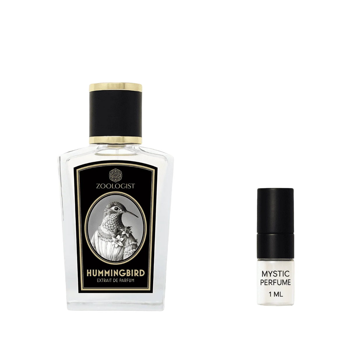 Zoologist Hummingbird Deluxe Bottle by Mystic Store