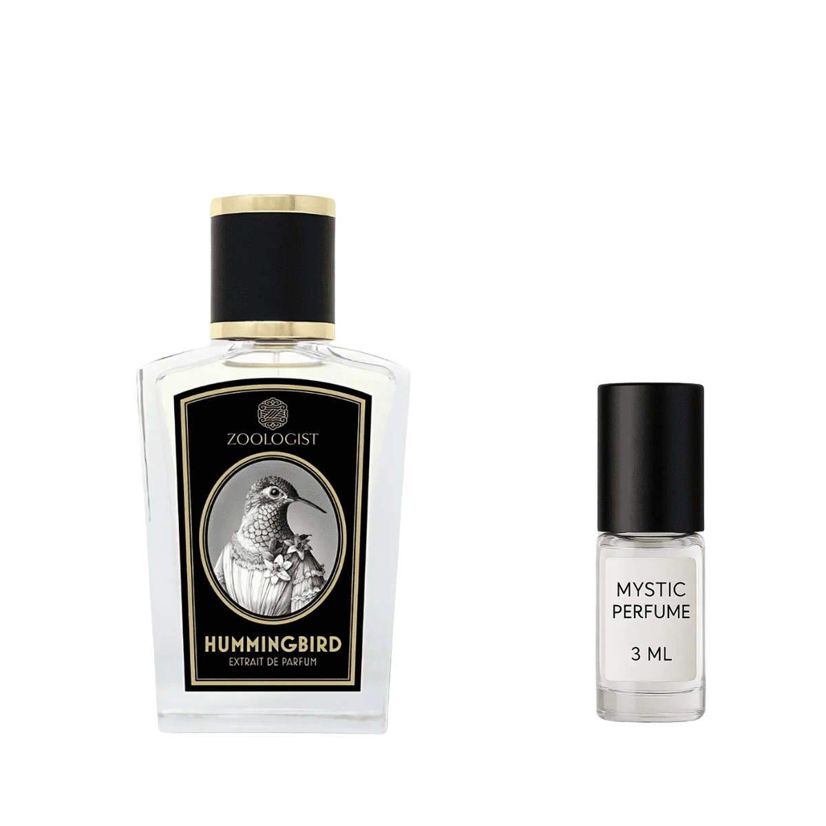 Zoologist Hummingbird Deluxe Bottle by Mystic Store