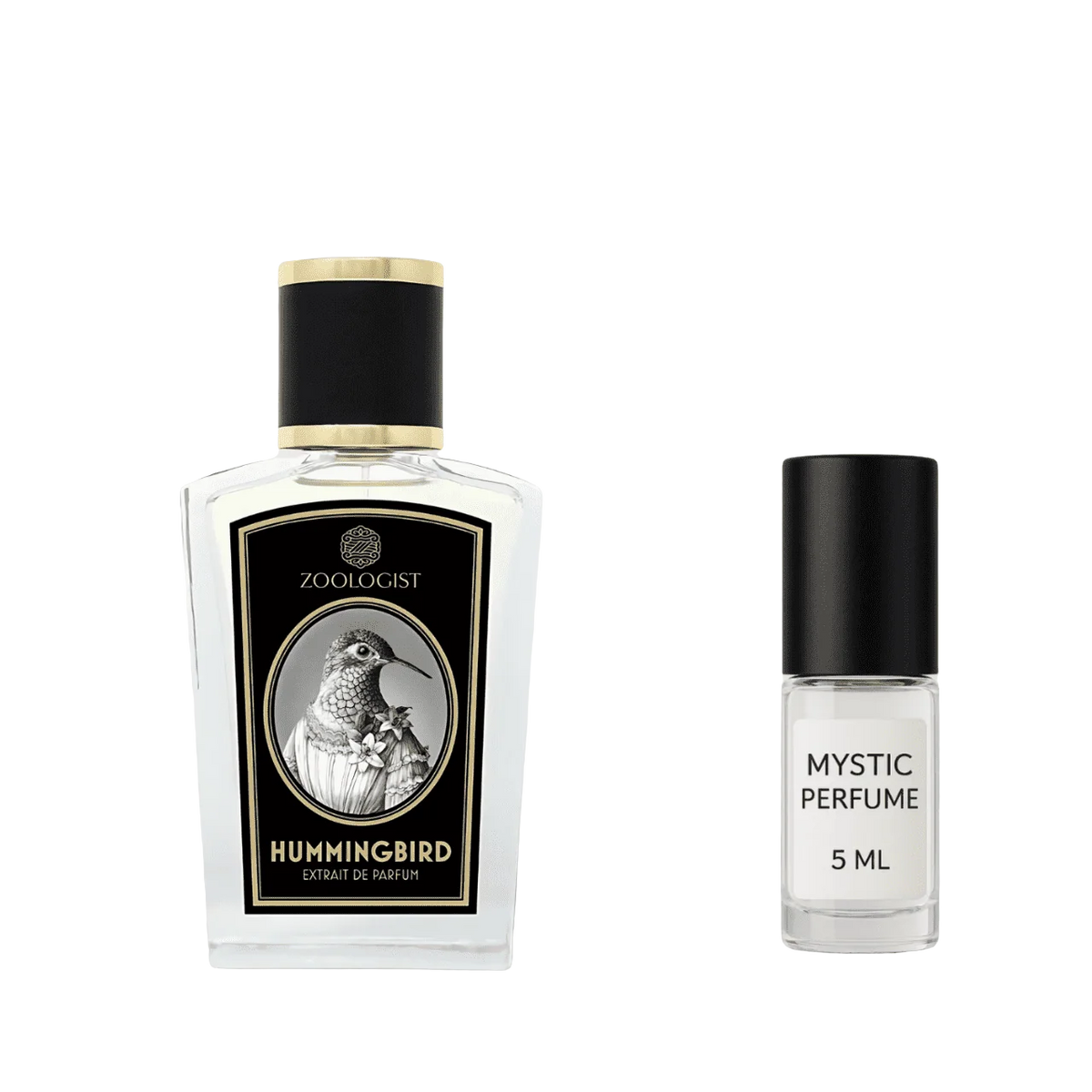 Zoologist Hummingbird Deluxe Bottle by Mystic Store