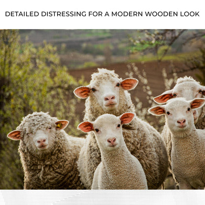 Curious Sheep Canvas Wall Art by Tailored Canvases