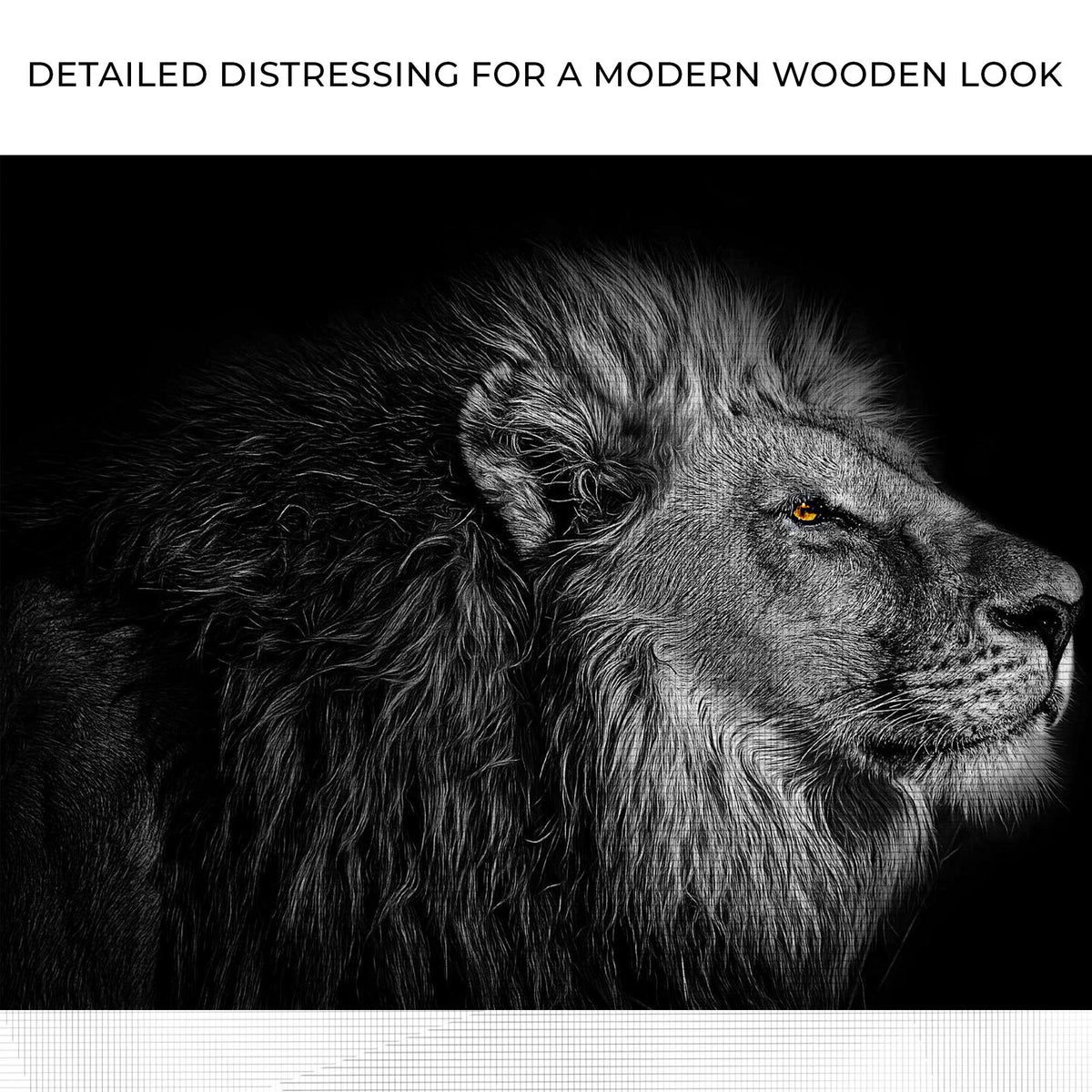 Black And White Lion Head Canvas Wall Art by Tailored Canvases