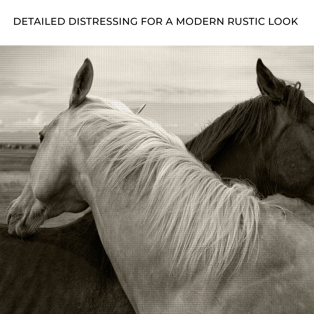 Monochrome Couple Horse Canvas Wall Art by Tailored Canvases