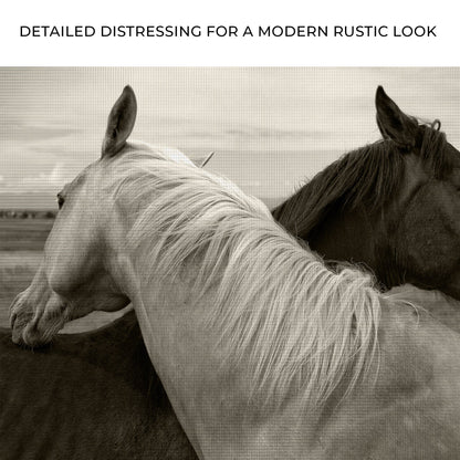 Monochrome Couple Horse Canvas Wall Art by Tailored Canvases