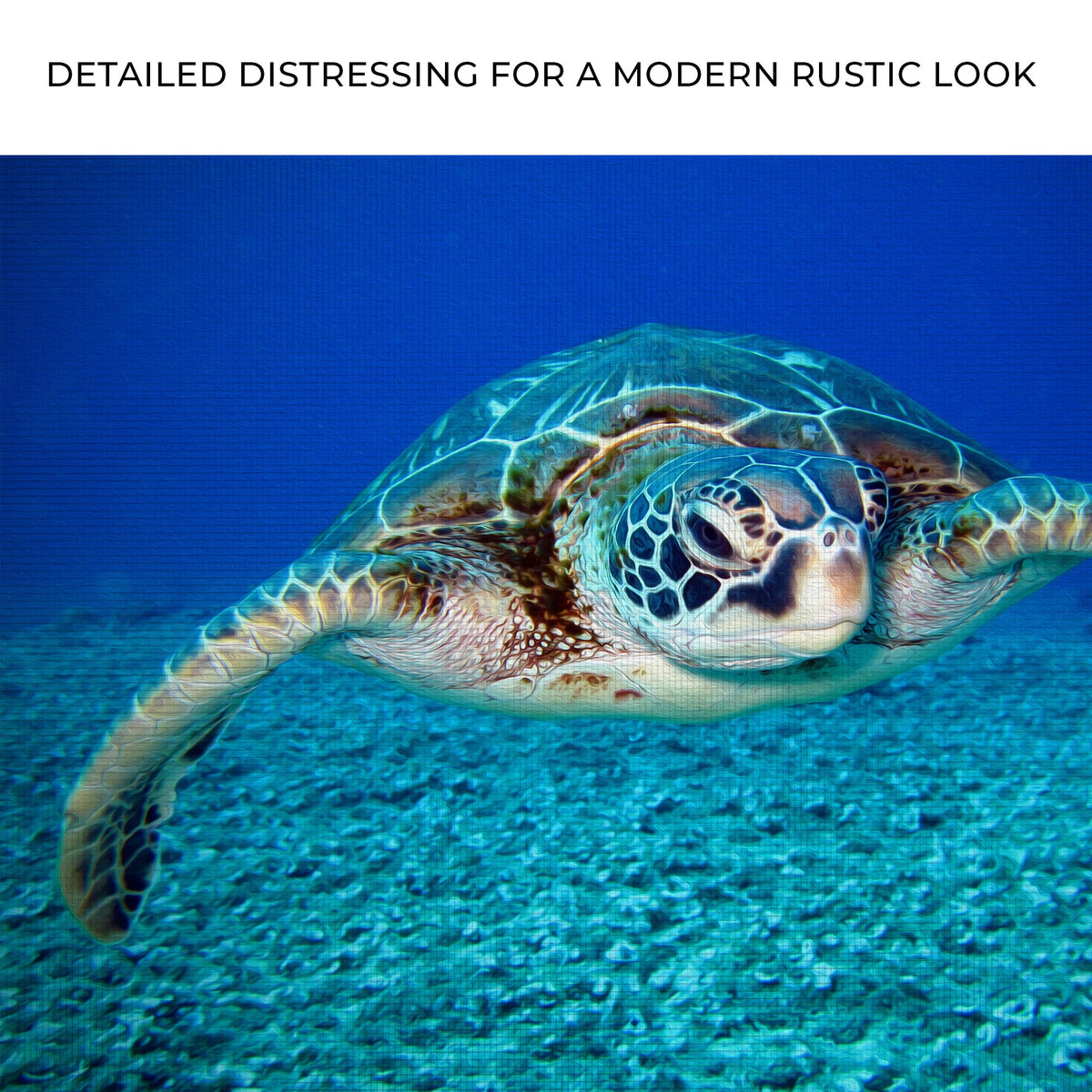 Green Sea Turtle Canvas Wall Art by Tailored Canvases