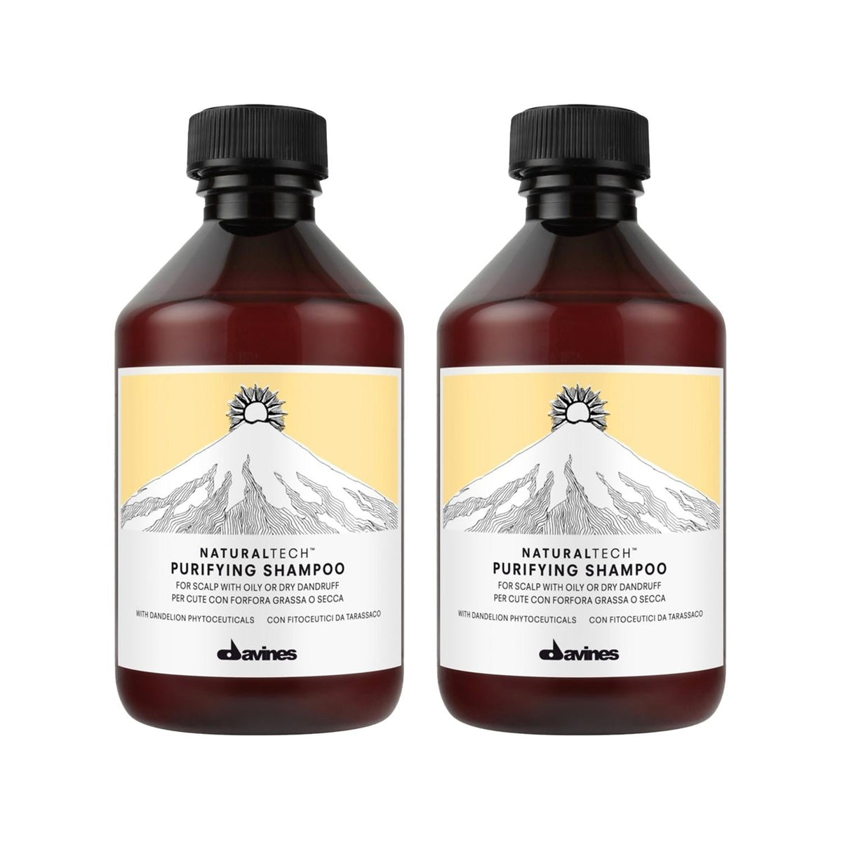 Davines Purifying Anti-Dandruff Shampoo for Flaky Scalp 250 ml by Beauty Care Bag