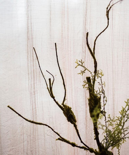 Artificial Plant Moss Rattan Stem 30" Tall by RusticReach