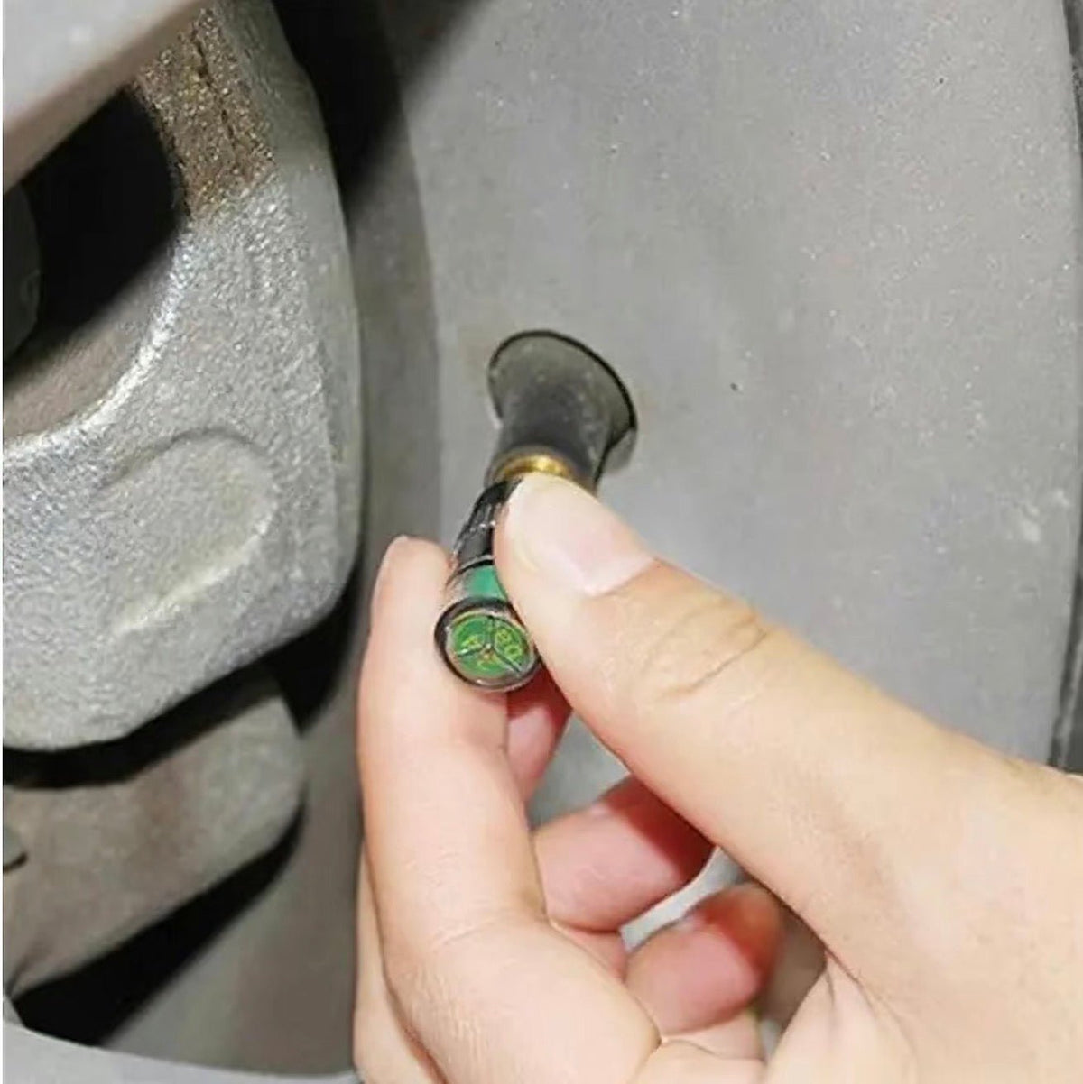 AutoCheck TireGuard CapsTorqelo.com