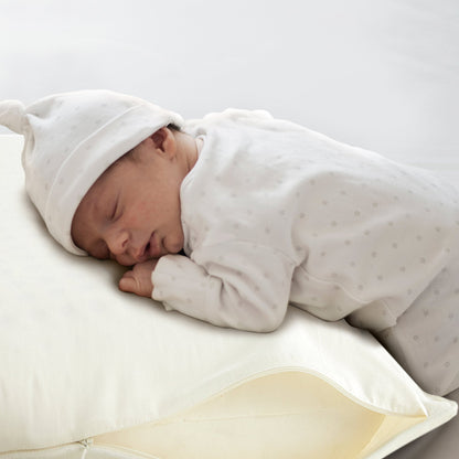 500 TC Pillow Protectors by Whisper Organics