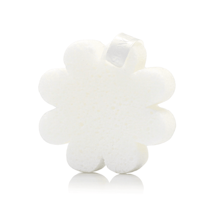 Beach Grass | Boxed FlowerBody Wash Infused BufferTorqelo.com