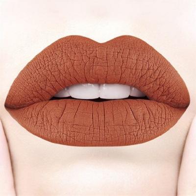 Pastel Daylong Matte Liquid Lipstick - Long-Lasting, High-Pigment, Non-Drying Formula - Vibrant Matte Lip Color by Beauty Care Bag