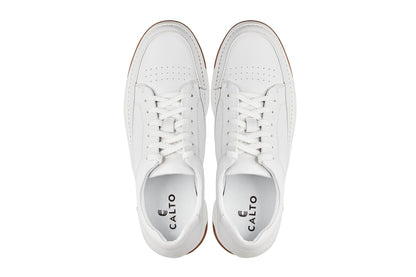 CALTO - Y7932 - 2.6 Inches Taller (White/Off-White & Gum Sole) - Elevated Micro-Perforated Leather SneakersCasualTorqelo.com