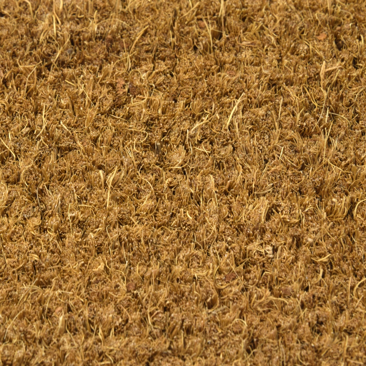 Coco Drag Mat (Replacement Mat only)Torqelo.com