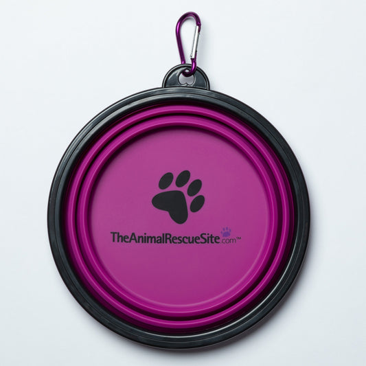 Collapsible Silicone Travel Pet BowlPet Bowl & Feeding AccessoriesTorqelo.com