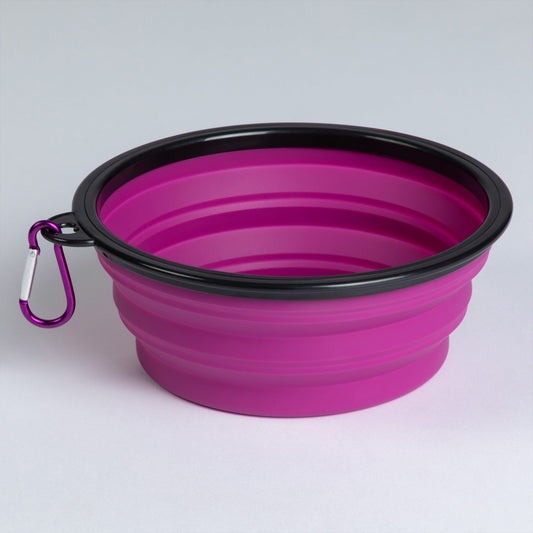 Collapsible Silicone Travel Pet BowlPet Bowl & Feeding AccessoriesTorqelo.com