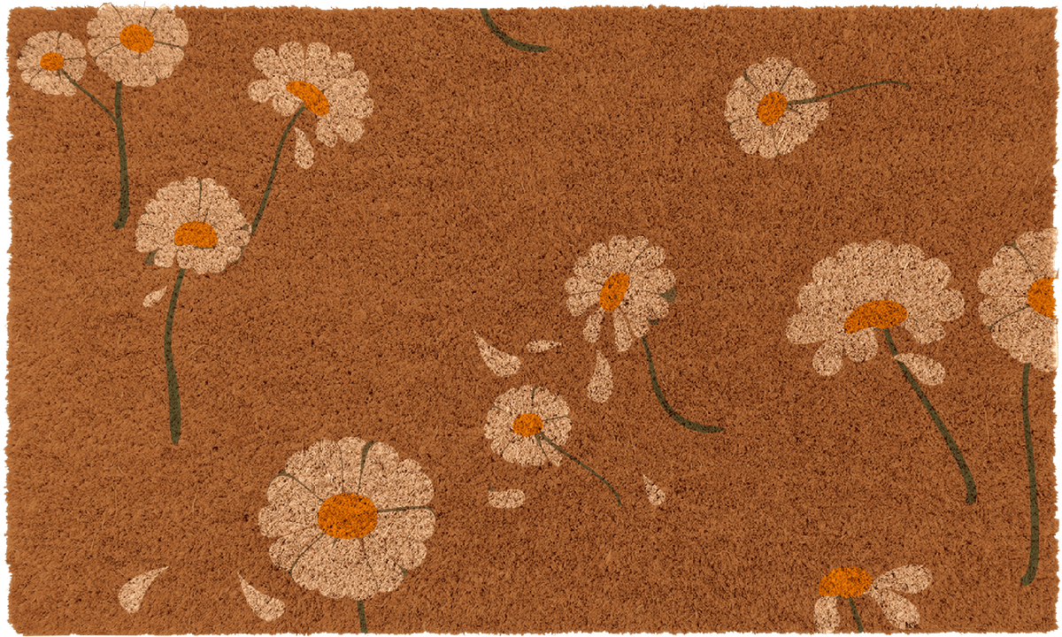 Daisy FlowersTorqelo.com