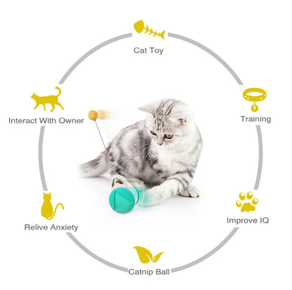 Tumbler Balanced Wheel Swinging Ball Cat Toy by Lilac Milo