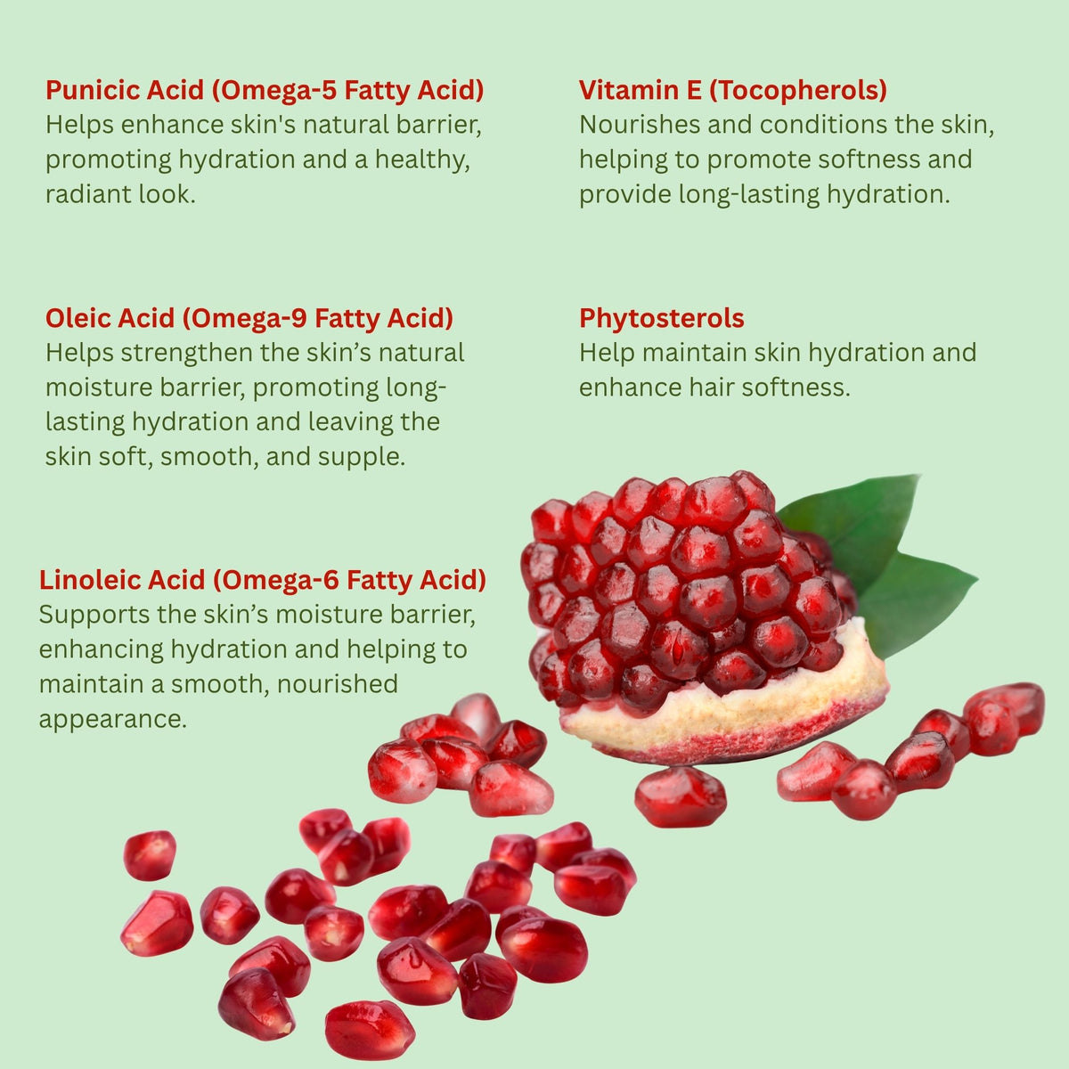 Pomegranate Oil (organic, cold pressed, unrefined) by Yellow Poppy