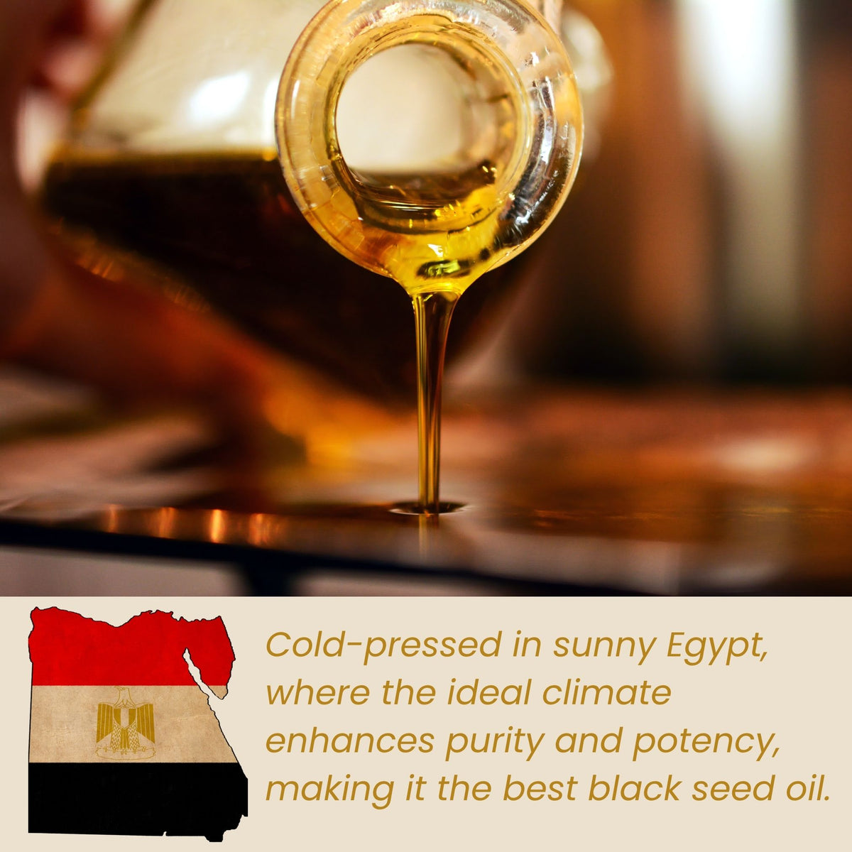 Black Seed Oil (organic, cold pressed, unrefined) by Yellow Poppy