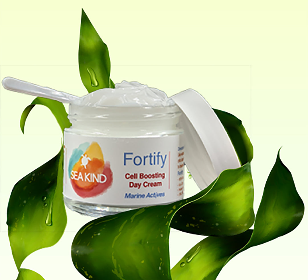 Fortify Cell Boosting Day Cream – 2 oz by Silver Tall Ambrosia