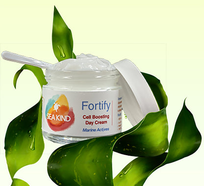 Fortify Cell Boosting Day Cream – 2 oz by Silver Tall Ambrosia