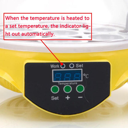7-Egg Mini Practical Poultry Electric Incubator by Lilac Milo