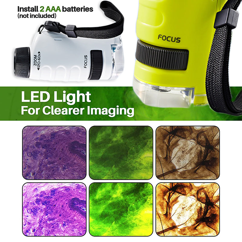 Kids Pocket Microscope by Teal Simba