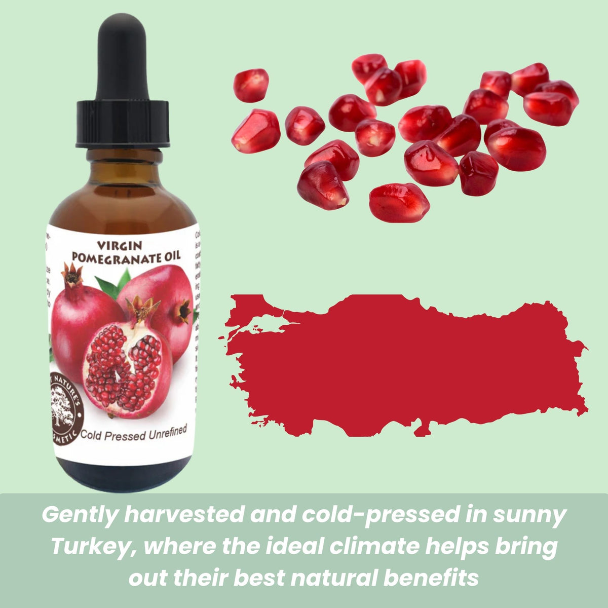 Pomegranate Oil (organic, cold pressed, unrefined) by Yellow Poppy