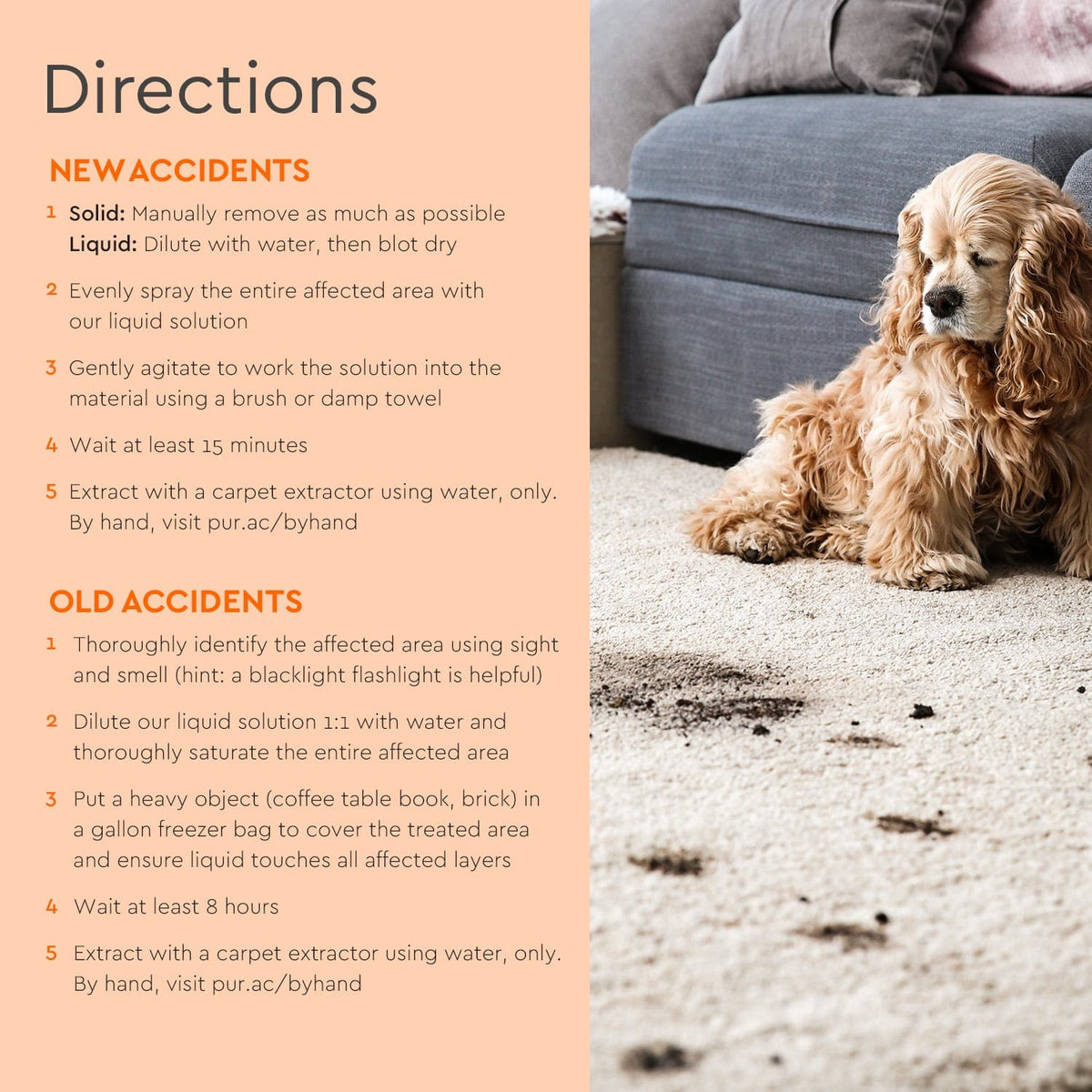 Pet stain and odor remover – view 5