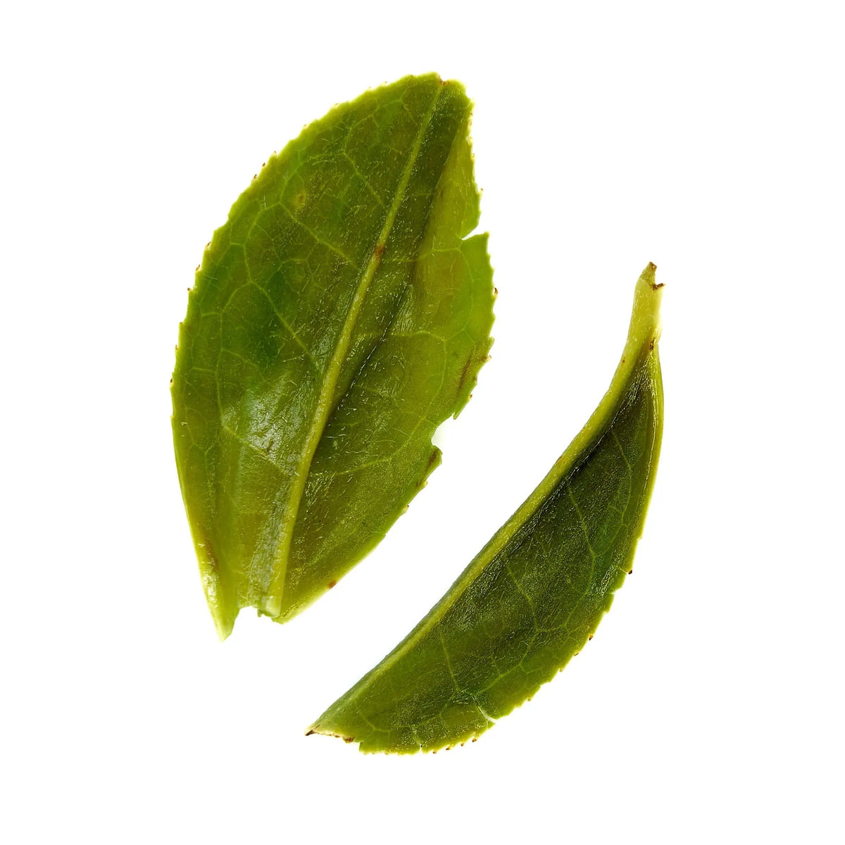 Emerald green tea – view 9