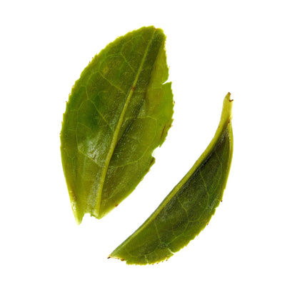 Emerald green tea – view 9