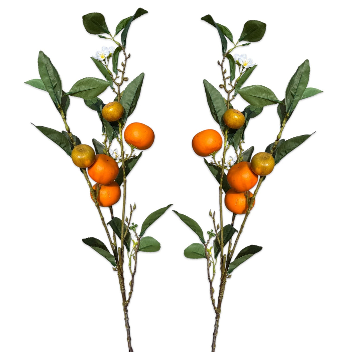 Honey Tangerine Branch Stem by Rust & Cinder