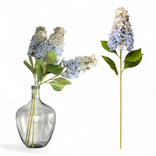 Light Blue Cone Hydrangea Stem by Rust & Cinder