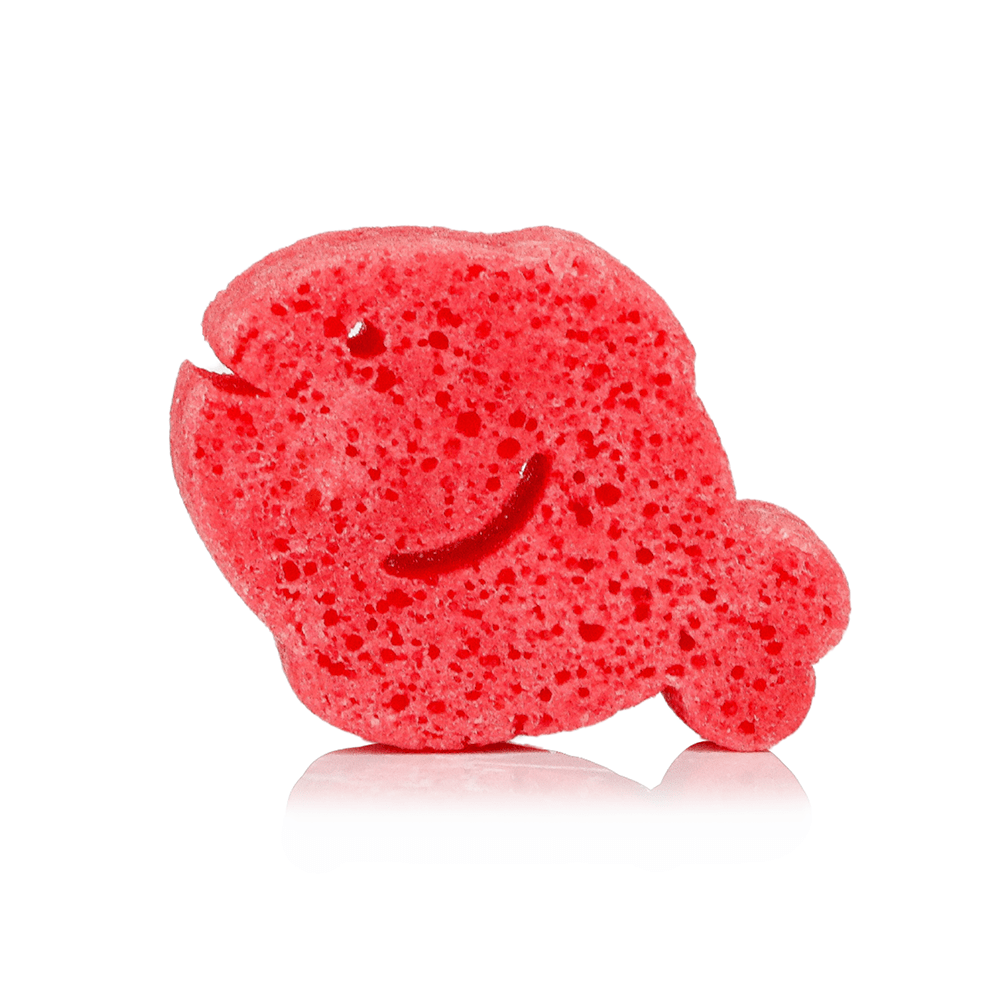 Fiona Fish | Sea AnimalsBody Wash Infused BufferTorqelo.com