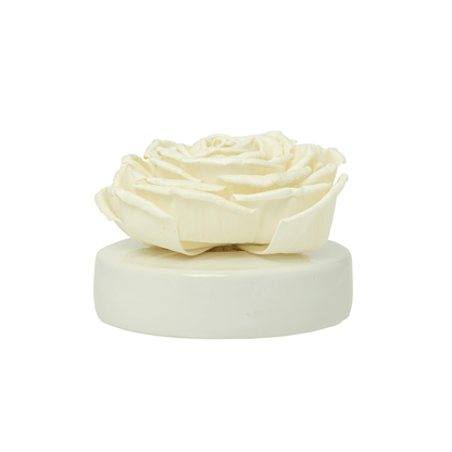 Floret ReplacementHome FragranceTorqelo.com