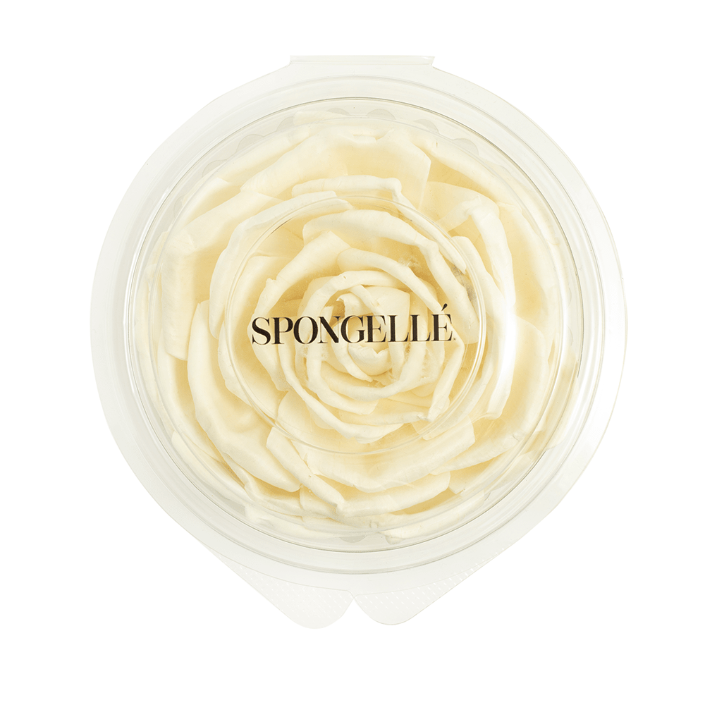 Floret ReplacementHome FragranceTorqelo.com