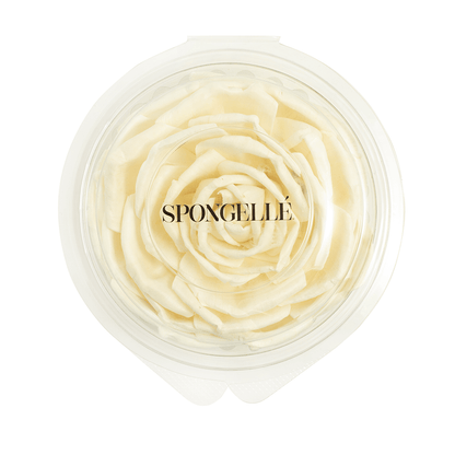 Floret ReplacementHome FragranceTorqelo.com