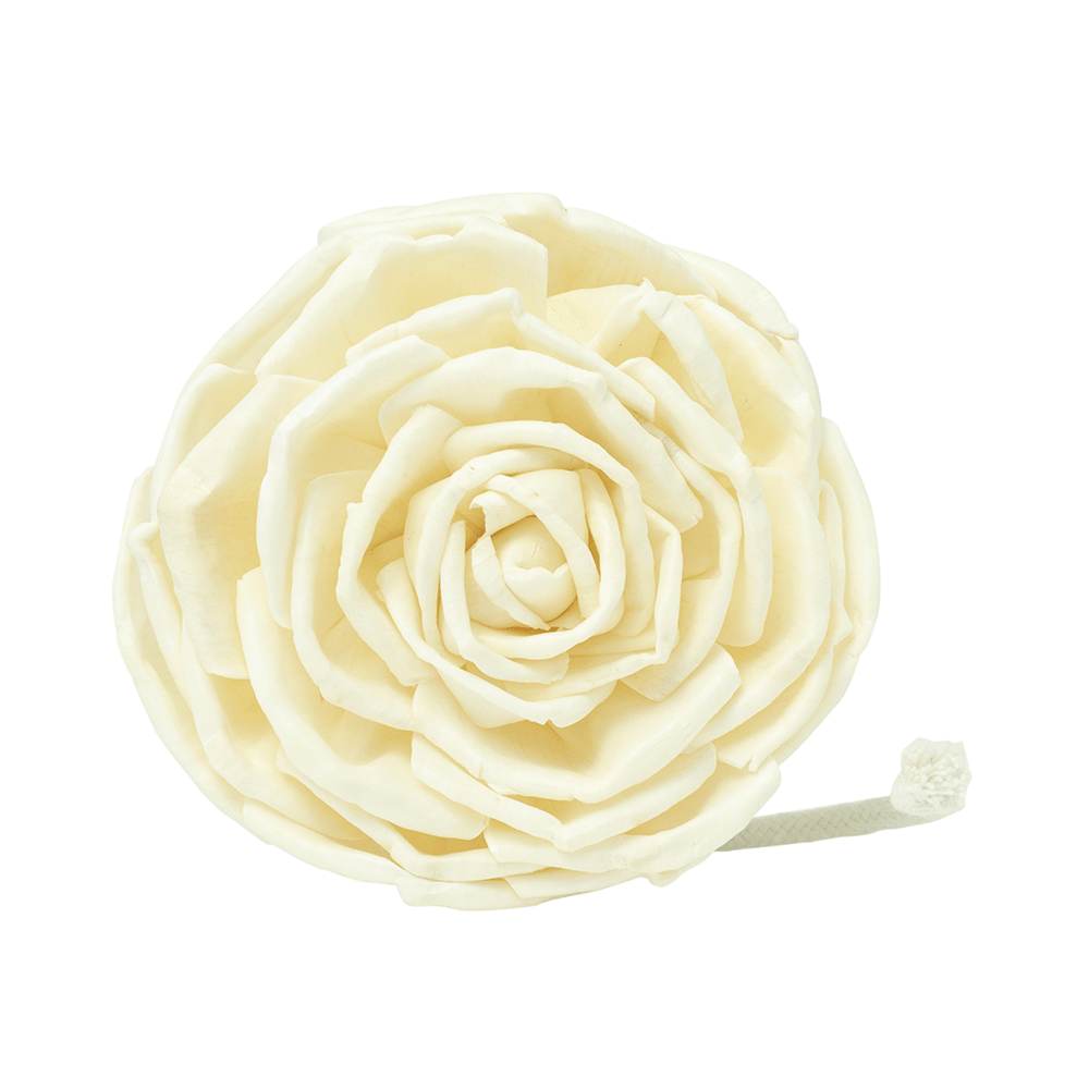 Floret ReplacementHome FragranceTorqelo.com