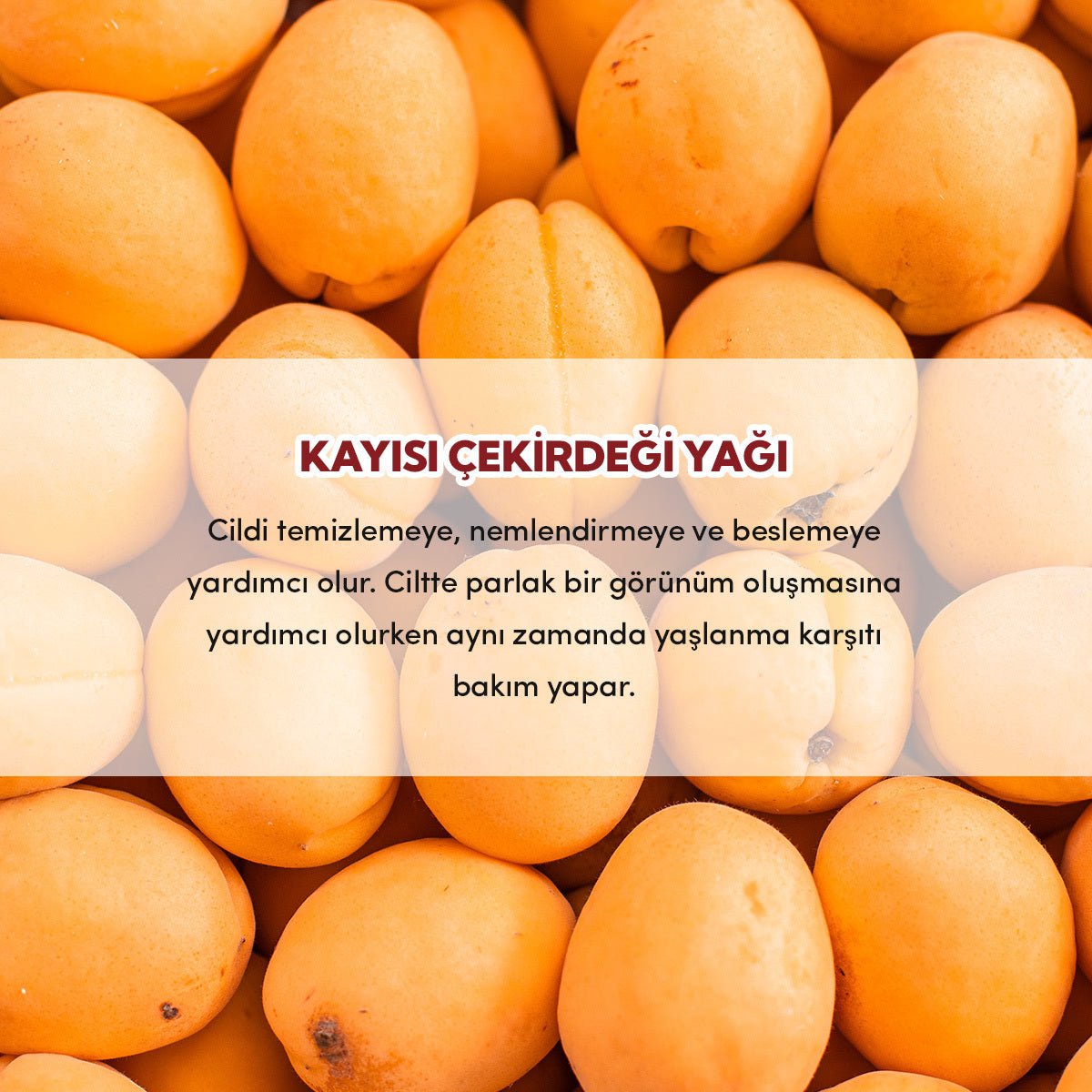 From Natura Organic Apricot Kernel Oil for Dry Skin 30 mlSkincareTorqelo.com