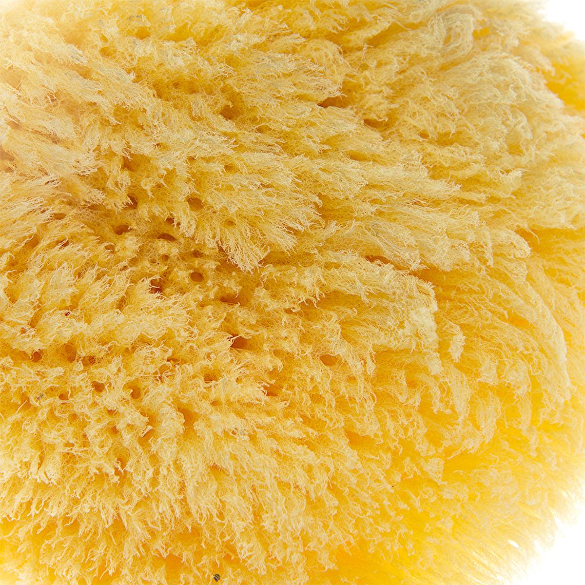 Babyjem natural sea sponge – view 5