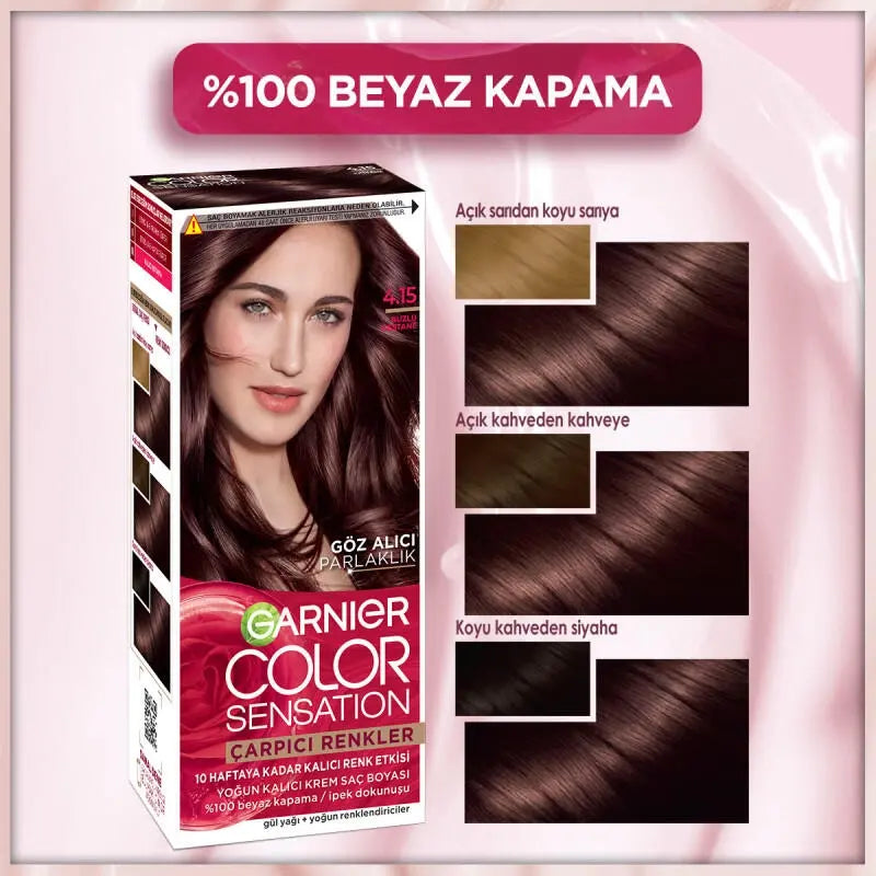 Garnier Color Sensation Permanent Hair Dye 4.15 Icy Chestnut by Beauty Care Bag