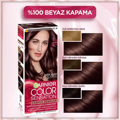Garnier Color Sensation Permanent Hair Dye 4.15 Icy Chestnut by Beauty Care Bag