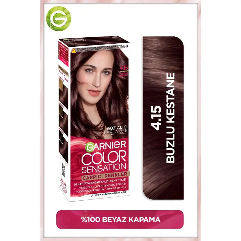Garnier Color Sensation Permanent Hair Dye 4.15 Icy Chestnut by Beauty Care Bag