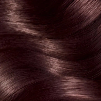 Garnier Color Sensation Permanent Hair Dye 4.15 Icy Chestnut by Beauty Care Bag