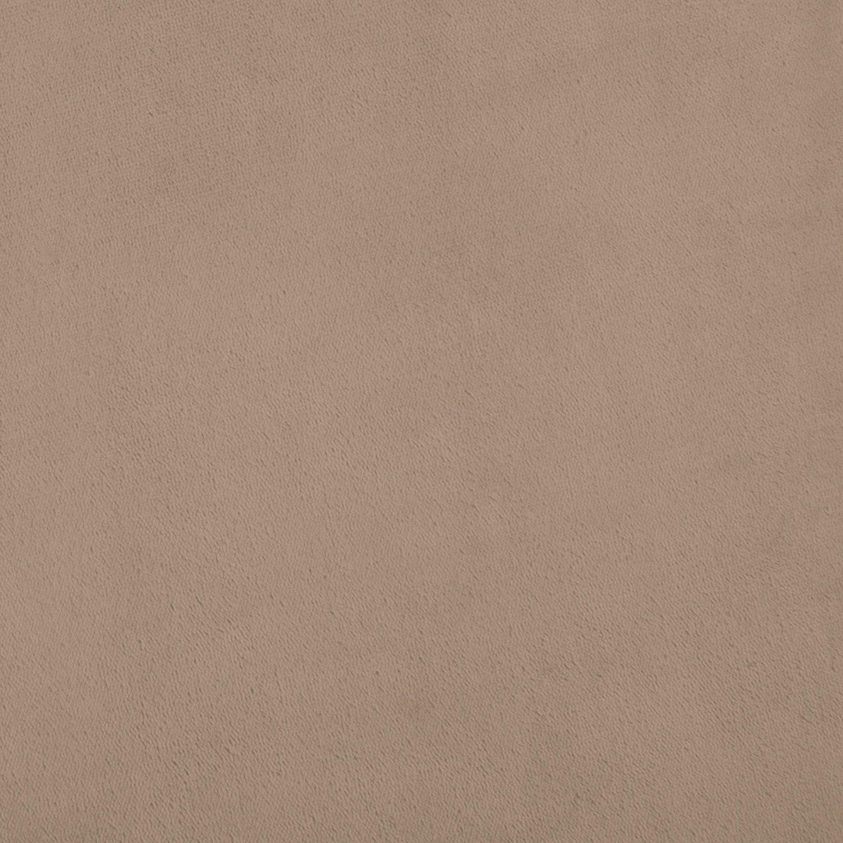 Solid Plush Sheet - Velvet Luxe Collection by Great Bay Home