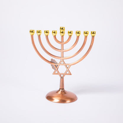 Hanukkah MenorahDecorative Home AccentTorqelo.com
